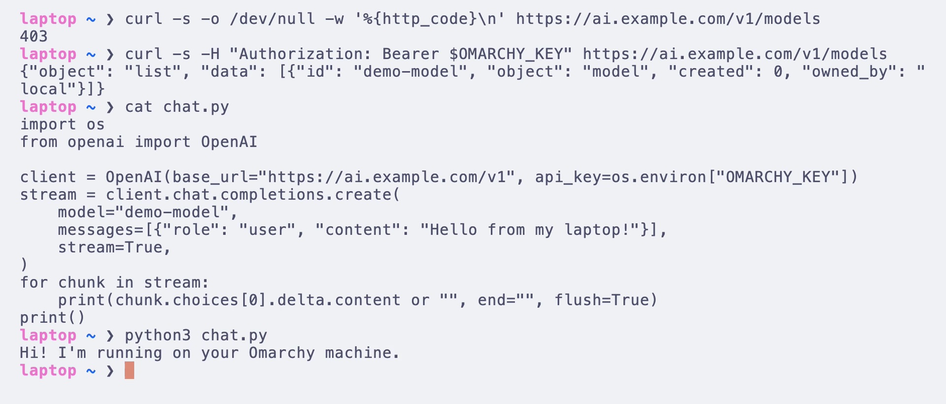 A laptop terminal: a request without a key gets 403, the same request with the bearer key lists the models, and the OpenAI Python SDK streams a reply from the Omarchy machine