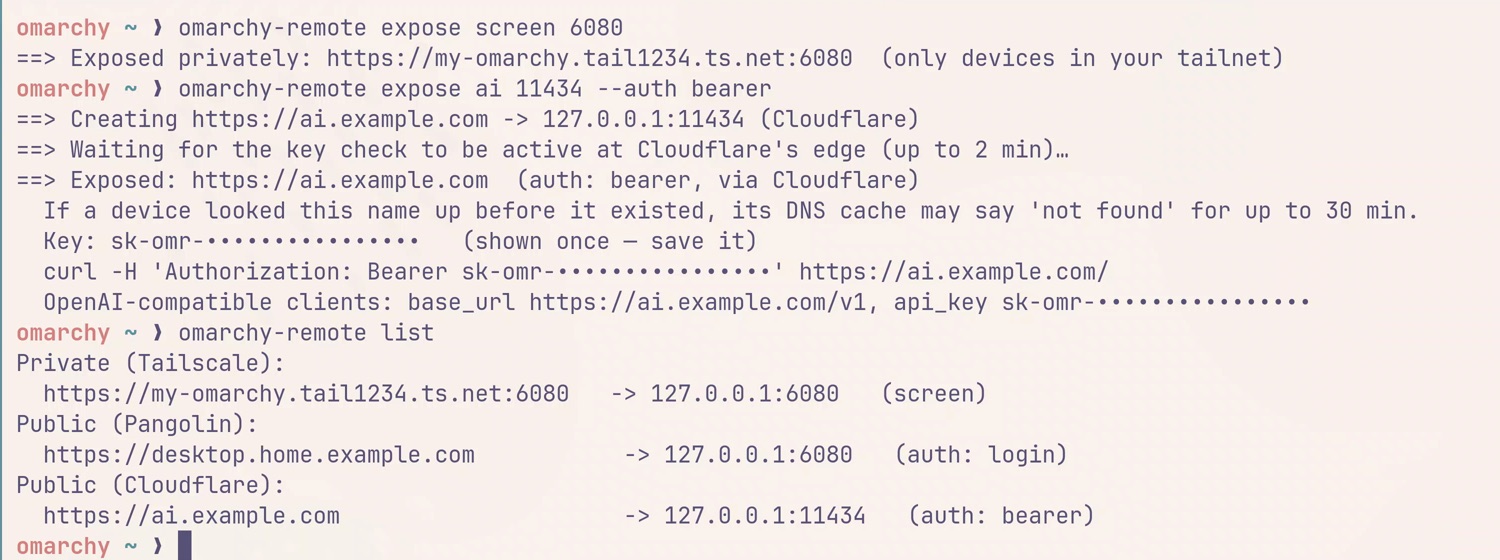 An Omarchy terminal: exposing the desktop privately over Tailscale, exposing a model API with a bearer key over Cloudflare, and listing both alongside a service published through Pangolin